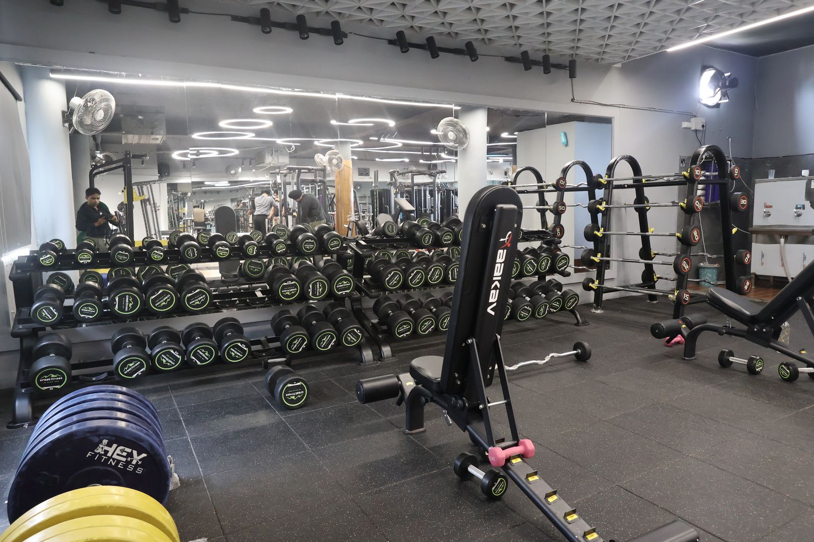 Dumbbell Area — Hey Fitness Patiala